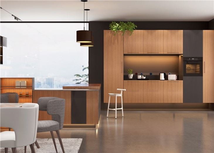 contemorary stylish kitchen cabinet